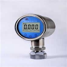 H12577数字精密压力表