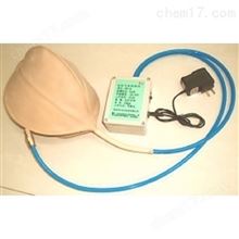 DP10负压气体采样仪