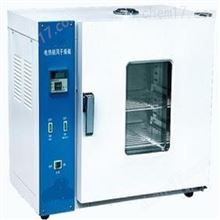 HAD-101-OES鼓风干燥箱