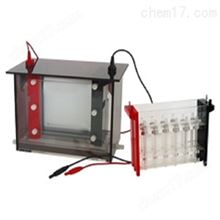 HAD-JY-SX3双向电泳槽