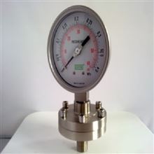 H13824螺纹型隔膜压力计